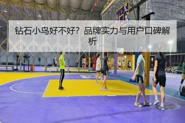 钻石小鸟好不好？品牌实力与用户口碑解析（HTH）