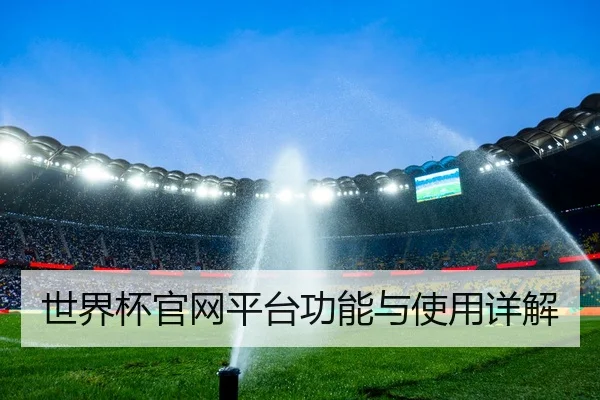 世界杯官网平台功能与使用详解