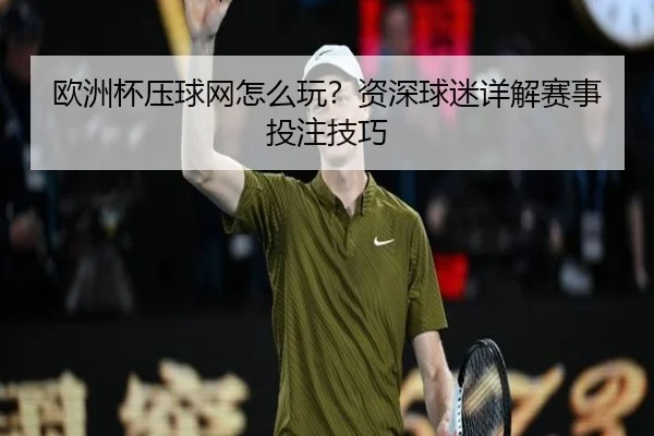 欧洲杯压球网怎么玩？资深球迷详解赛事投注技巧