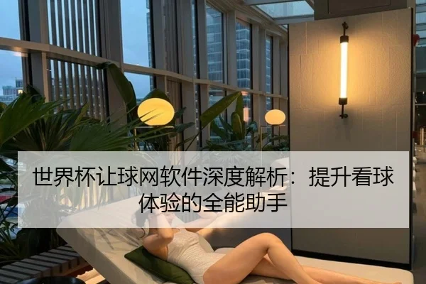 世界杯让球网软件深度解析：提升看球体验的全能助手