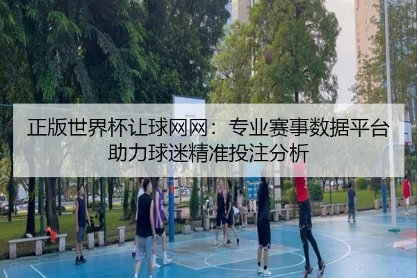 正版世界杯让球网网：专业赛事数据平台助力球迷精准投注分析
